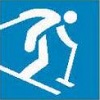 para alpine skiing icon