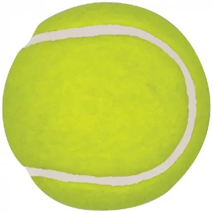 Adaptive Athletics Association Tennis Clinic logo