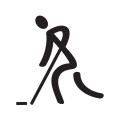 Adaptive Floor Hockey logo